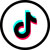 Tiktok Icon